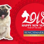 Year of the Dog – Happy Chinese New Year